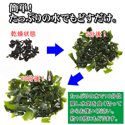 【お徳用ゆうパケット送料無料】三陸産カットわかめ100g