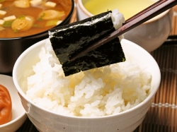 帰省土産に!ご飯のおともに!