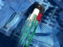 網の一部で胞子の付き具合をチェック