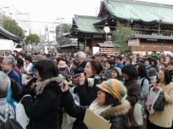 1000人丸かぶり